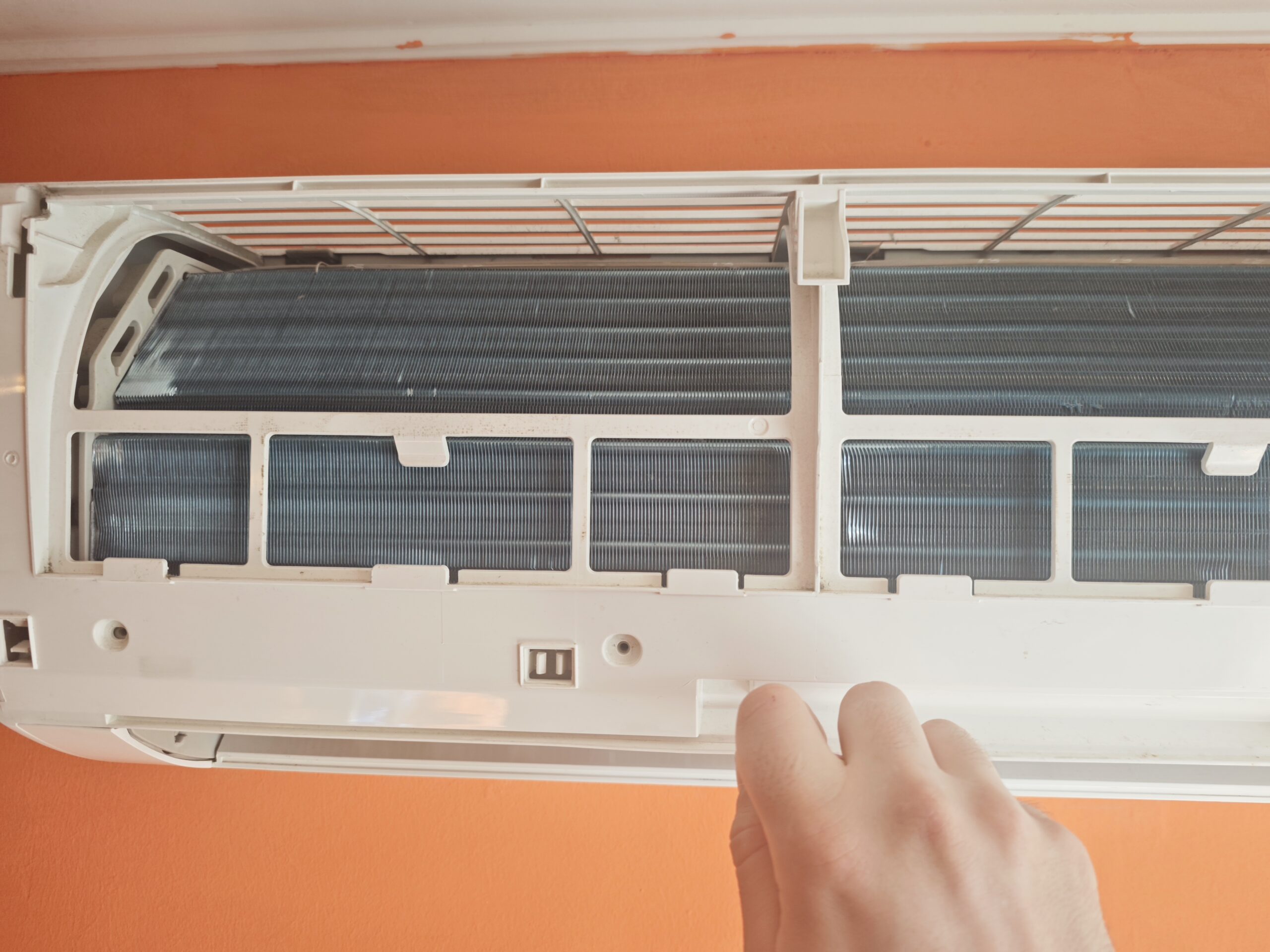 IMG_20250503_165118(1)