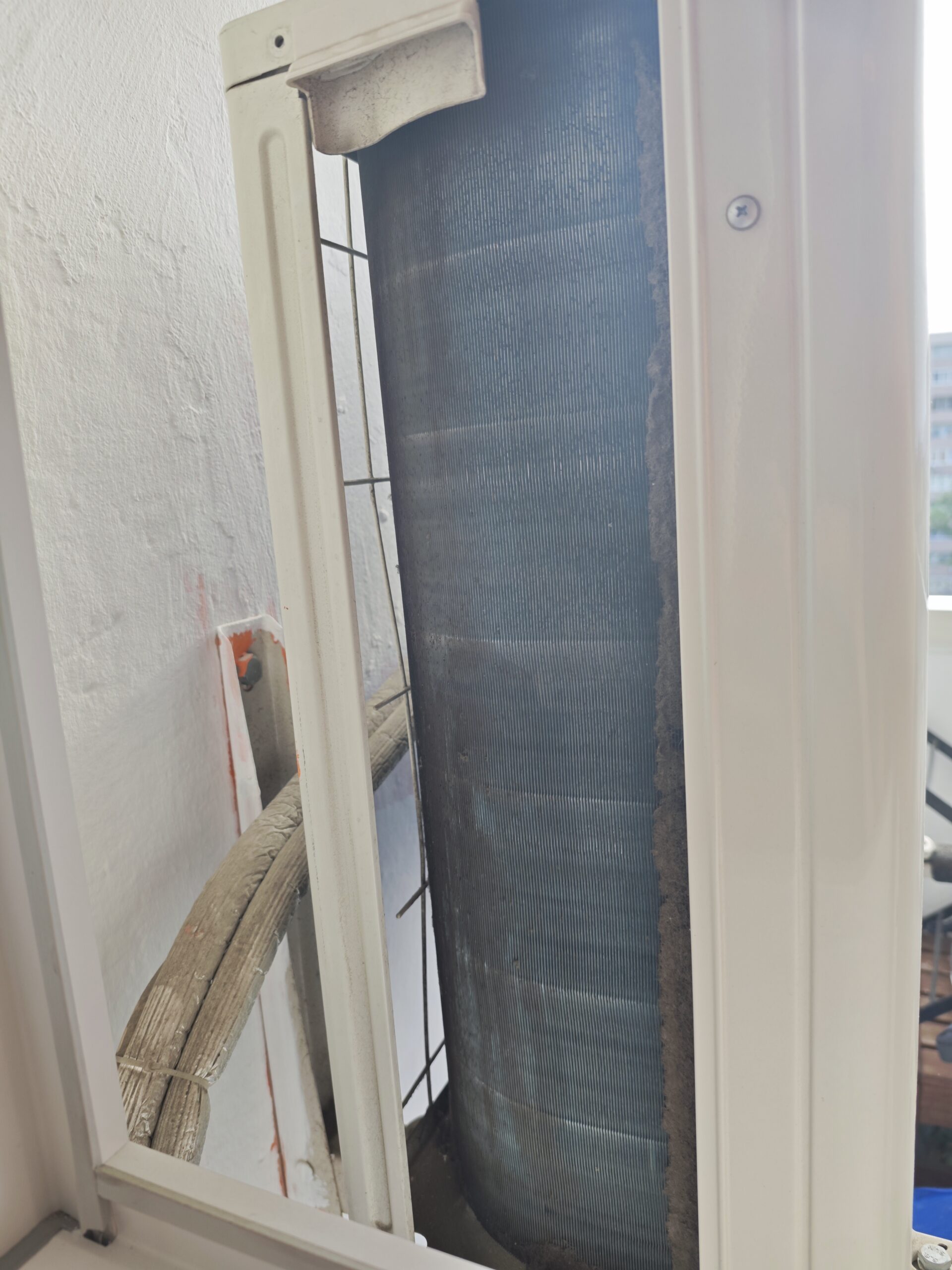 IMG_20250503_180553(1)